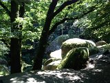IMG_1622