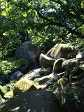 IMG_1623