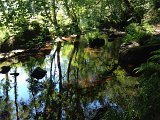 IMG_1627