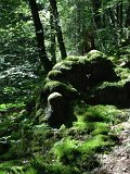 IMG_1628