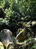 IMG_1629