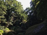 IMG_1630