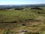 IMG_1683