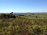 IMG_1689