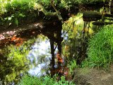 IMG_6516