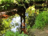 IMG_6518