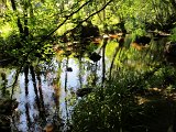 IMG_6520