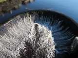 IMG_6531