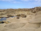 IMG_1433