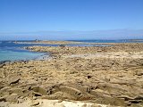 IMG_1439