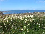IMG_6176