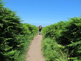 IMG_6178