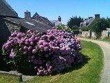 IMG_0097