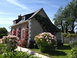 IMG_0971