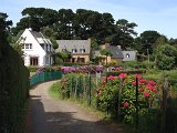 IMG_1484