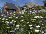 IMG_1488