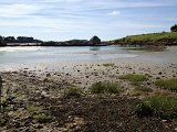 IMG_1496