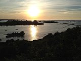 IMG_1505