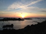 IMG_1517