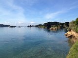 IMG_1527