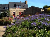 IMG_1531