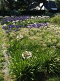 IMG_1534