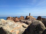 IMG_1537