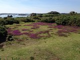 IMG_1544