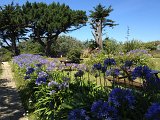 IMG_1546