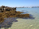 IMG_1553