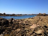 IMG_1556