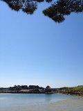 IMG_1561