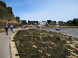 IMG_6237