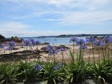 IMG_6247