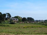 IMG_6338