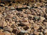IMG_6349