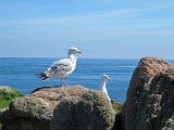 IMG_6370