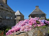 IMG_6383