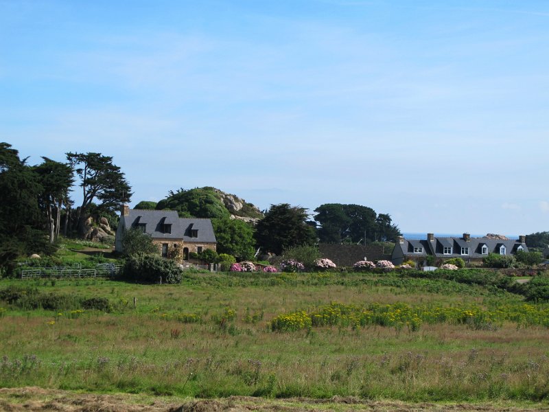 IMG_6338.jpg - Ile nord -  � M. Wenger