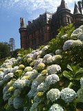 IMG_0167