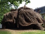 IMG_1841