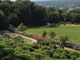 IMG_1863