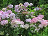 IMG_6841