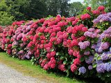 IMG_6855