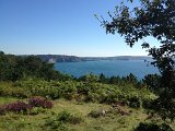 IMG_1737