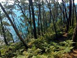 IMG_1740