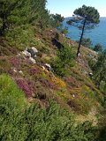 IMG_1744