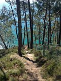 IMG_1749
