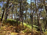 IMG_1751