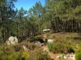 IMG_1752